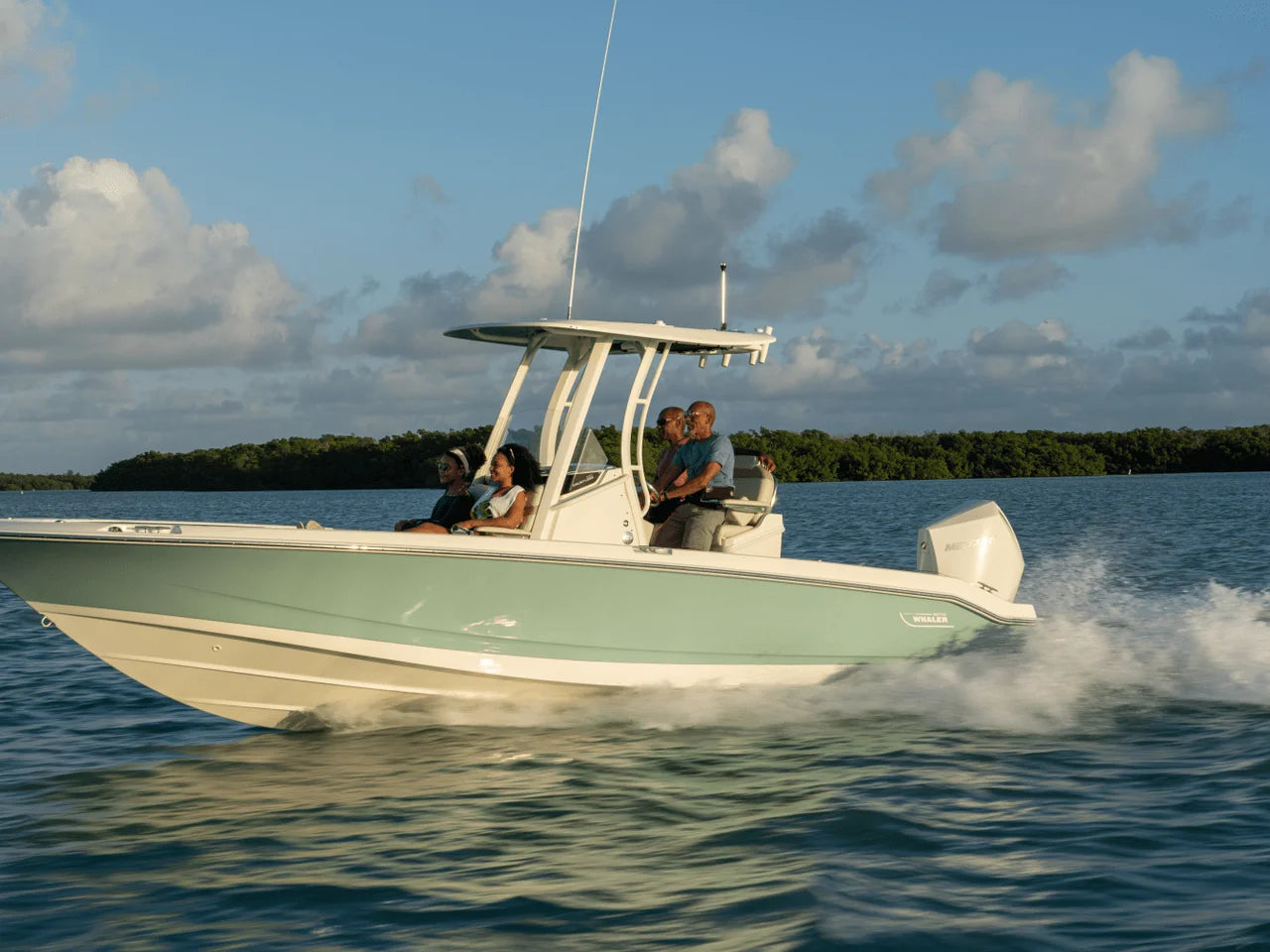 2026 Boston Whaler 250 Dauntless 25.0 feet, Inuvik, Northwest Territories #41