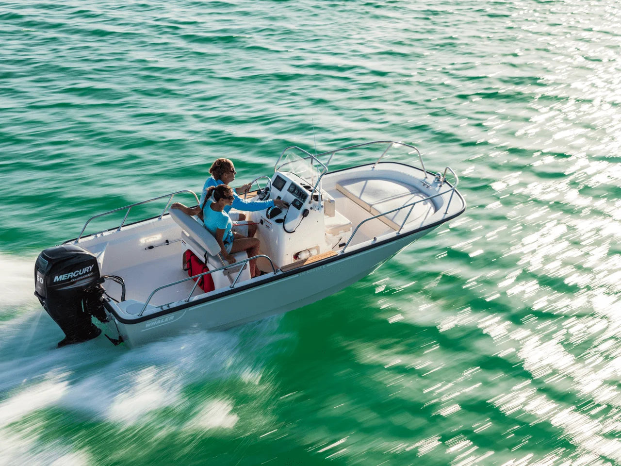 2027 Boston Whaler 150 Montauk 15.0 feet, Thunderbolt, GA #13