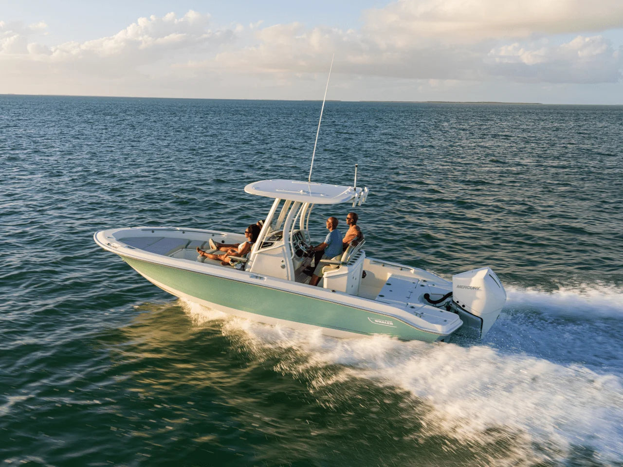 2027 Boston Whaler 250 Dauntless 25.0 feet, Seabrook, TX #3