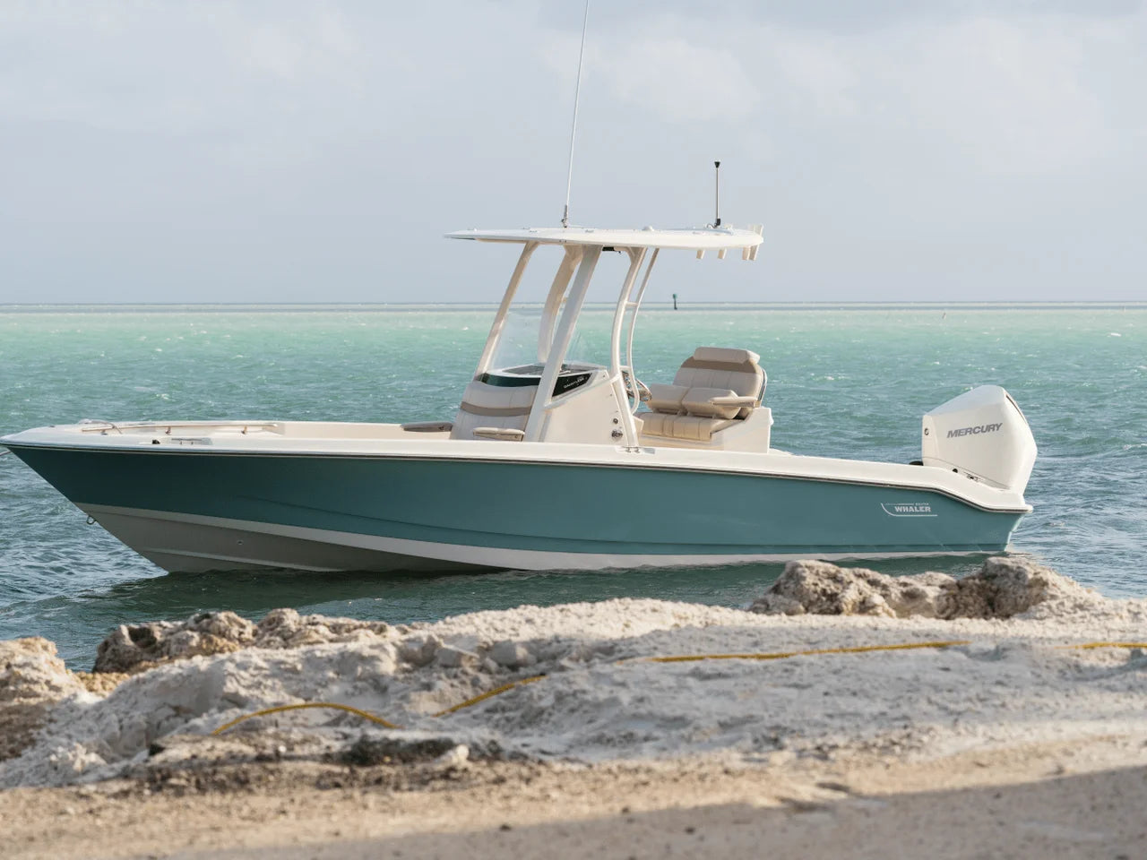 2027 Boston Whaler 250 Dauntless 25.0 feet, Seabrook, TX #17