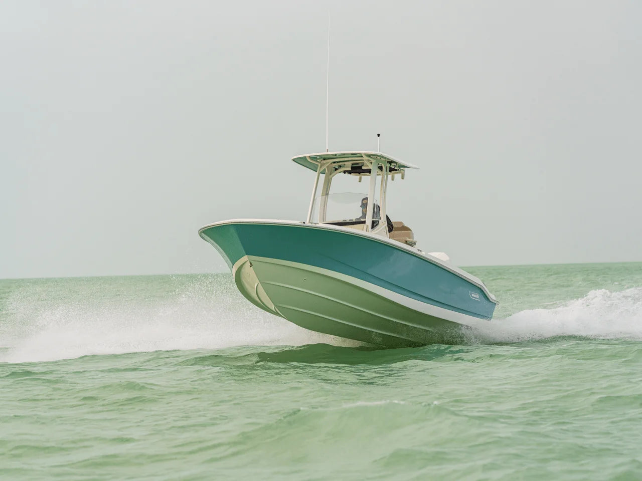 2027 Boston Whaler 250 Dauntless 25.0 feet, Seabrook, TX #22