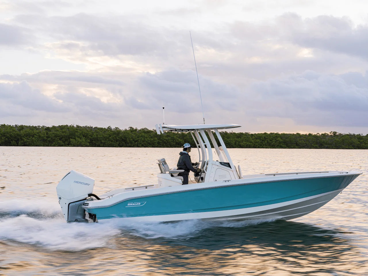 2027 Boston Whaler 250 Dauntless 25.0 feet, Naples, Florida #33