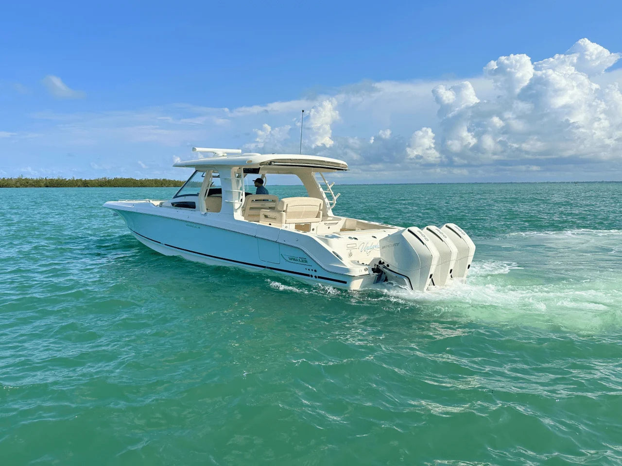 2023 Boston Whaler 350 REALM 35.0 feet, Sarasota, FL #7