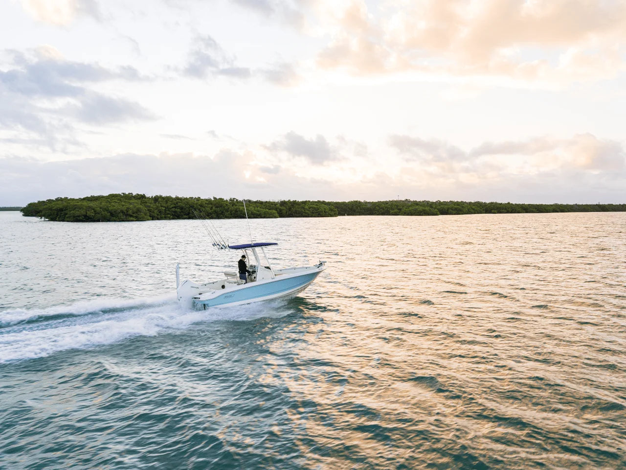 2026 Boston Whaler 220 Dauntless 22.0 feet, Inuvik, Northwest Territories #21