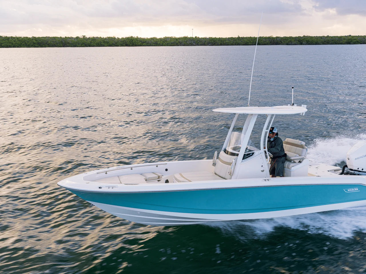 2027 Boston Whaler 250 Dauntless 25.0 feet, Panama City, FL #38