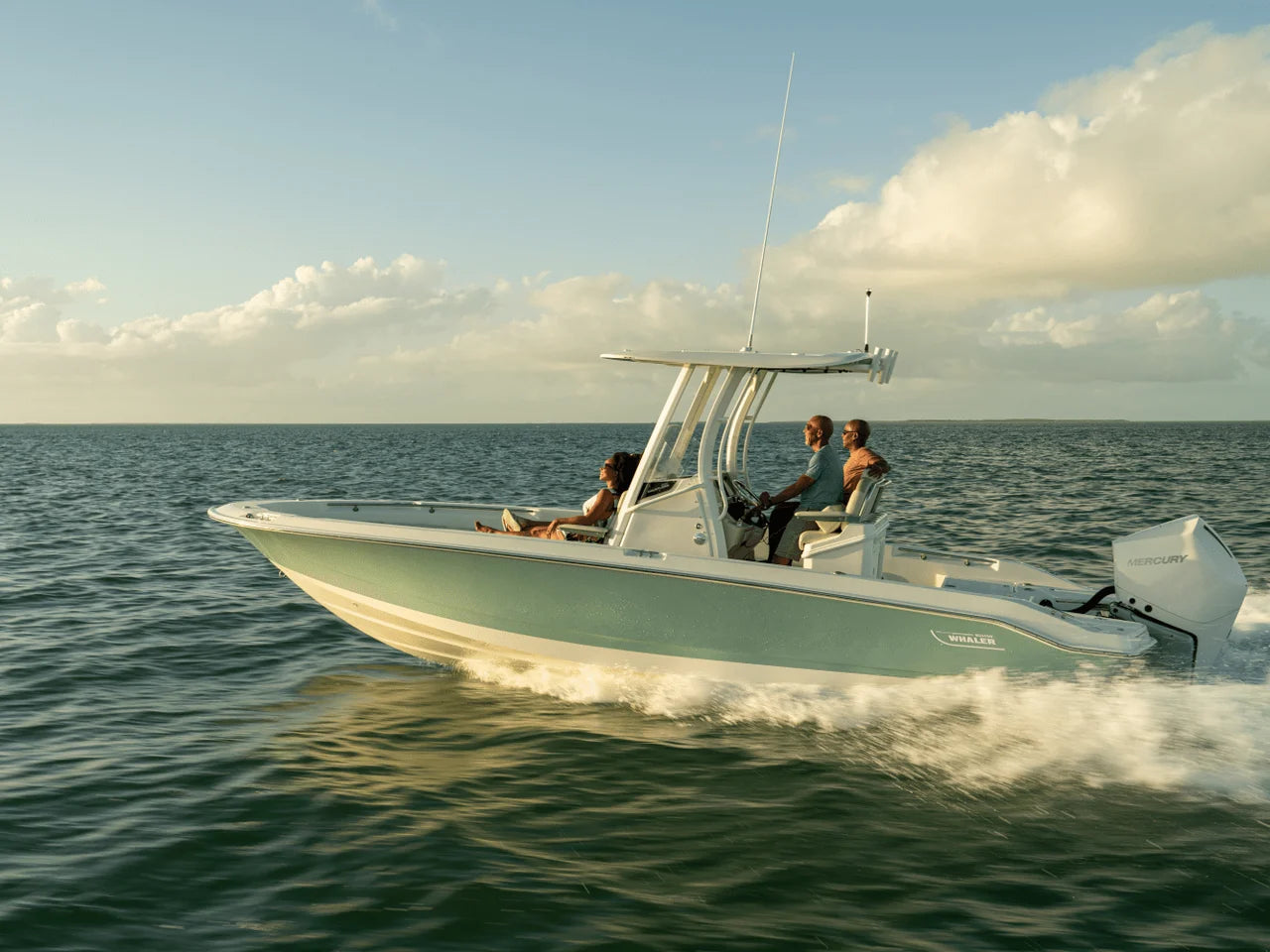 2026 Boston Whaler 250 Dauntless 25.0 feet, Inuvik, Northwest Territories #36