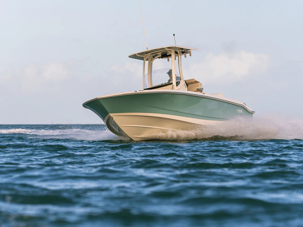 2027 Boston Whaler 250 Dauntless 25.0 feet, Panama City, FL #19