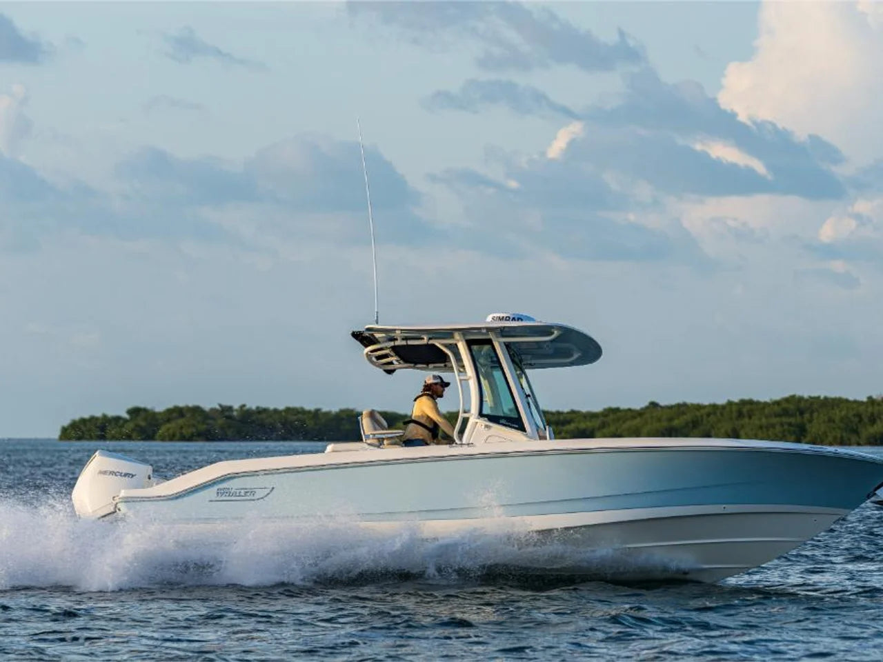 2027 Boston Whaler 280 Dauntless 28.0 feet, Naples, Florida #56