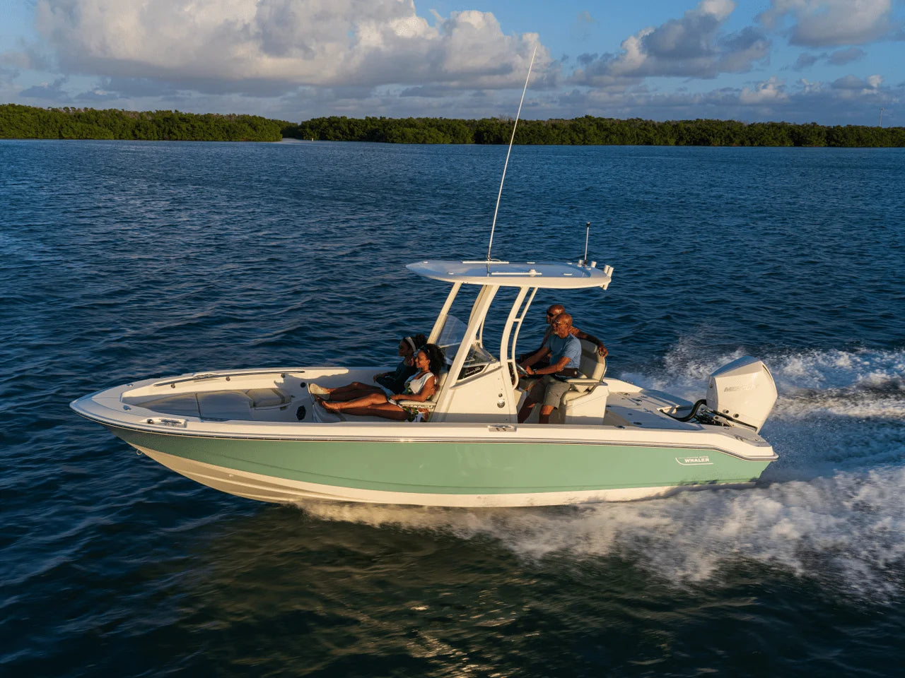 2026 Boston Whaler 250 Dauntless 25.0 feet, Inuvik, Northwest Territories #28