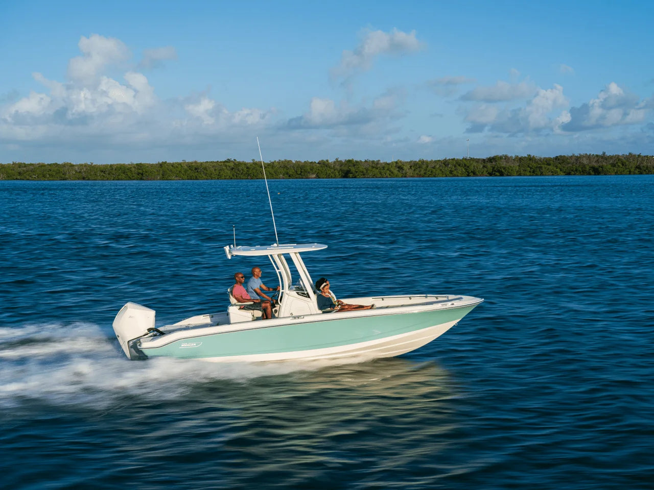 2027 Boston Whaler 250 Dauntless 25.0 feet, Seabrook, TX #27