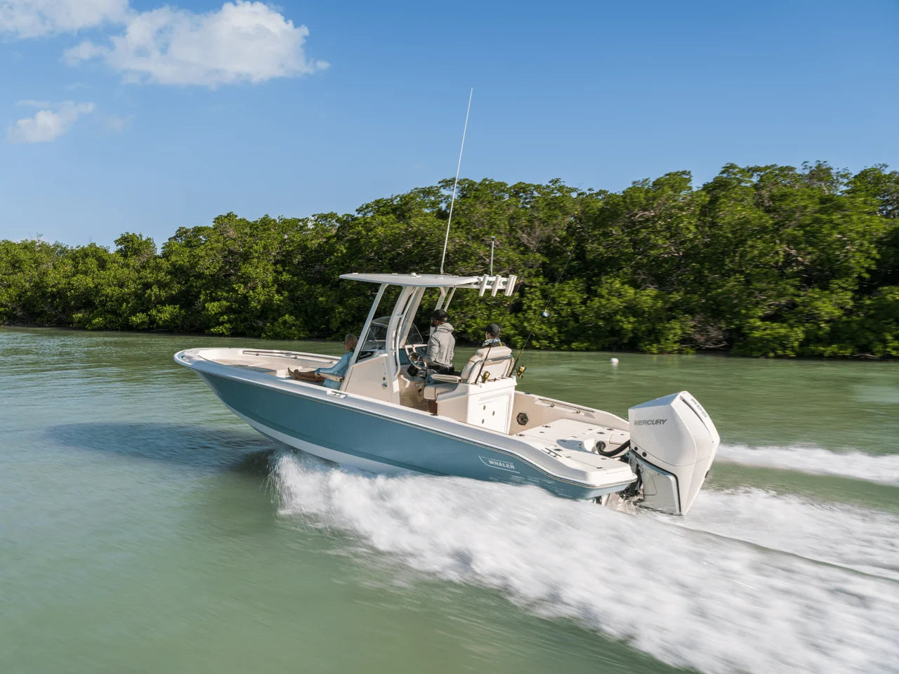 2027 Boston Whaler 250 Dauntless 25.0 feet, Panama City, FL #16
