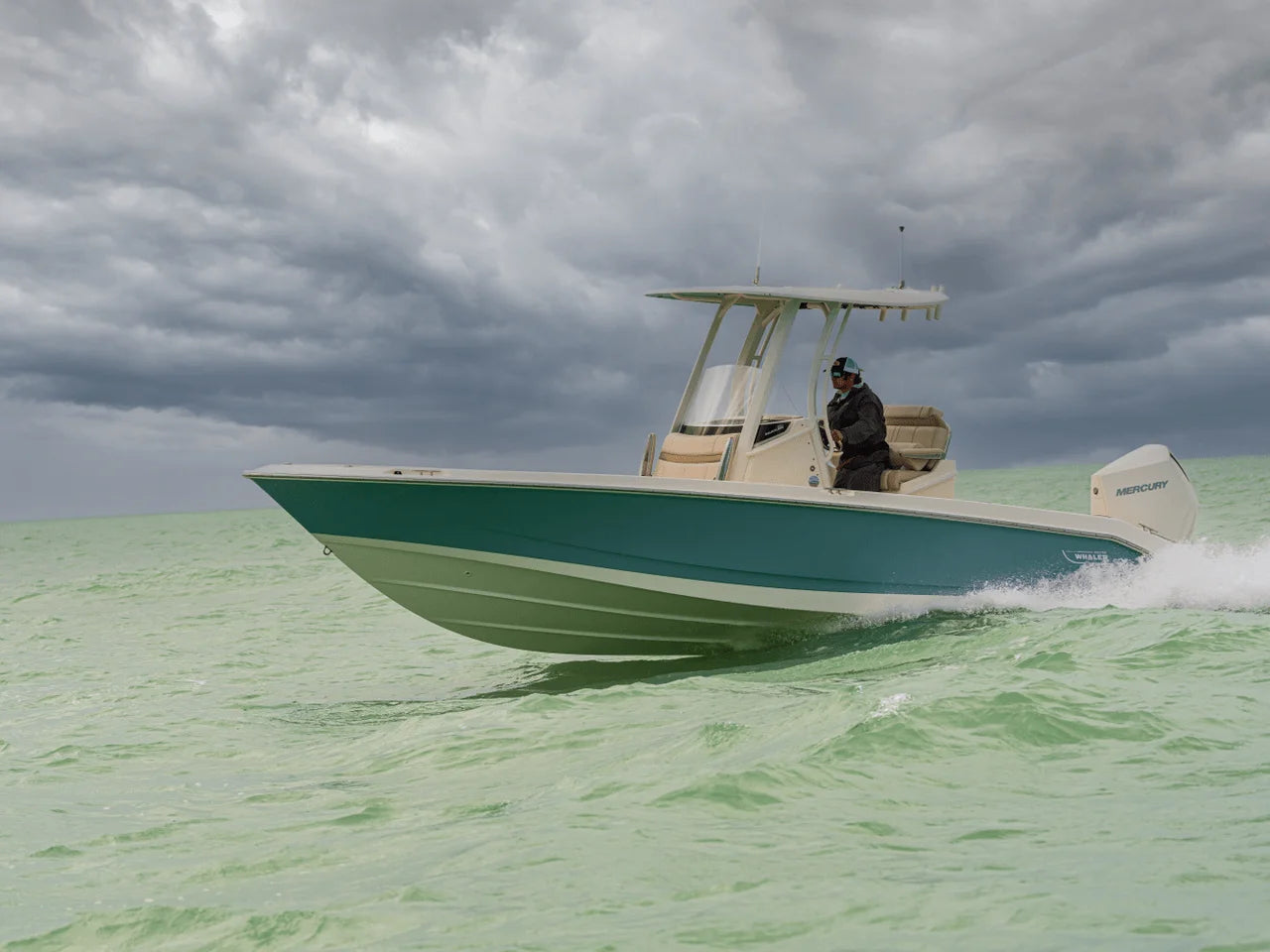 2026 Boston Whaler 250 Dauntless 25.0 feet, Inuvik, Northwest Territories #23