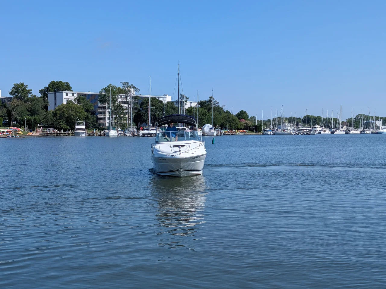 2007 Sea Ray 240 SUNDANCER 24.0 feet, Annapolis, MD #3