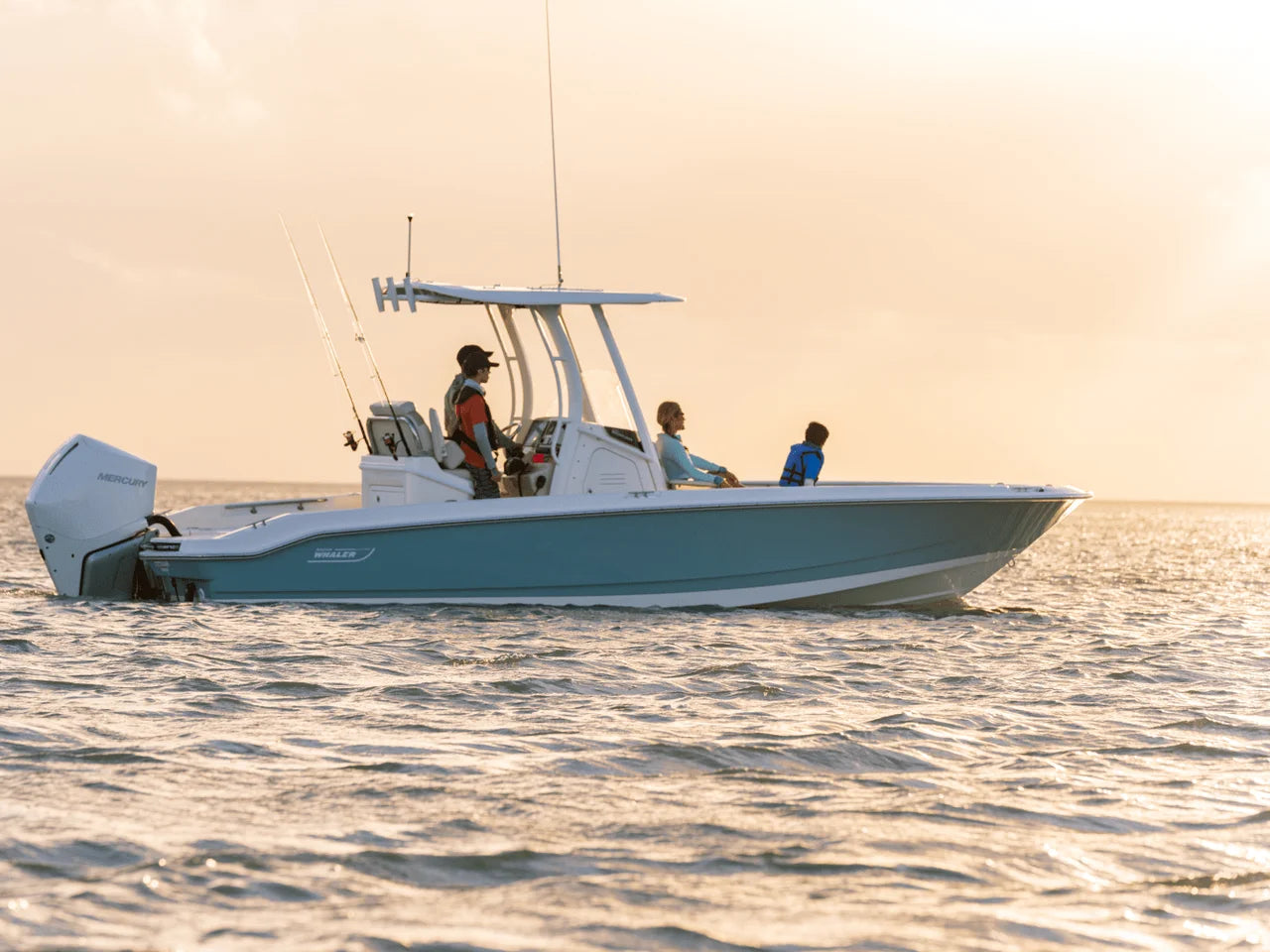 2027 Boston Whaler 250 Dauntless 25.0 feet, Panama City, FL #5