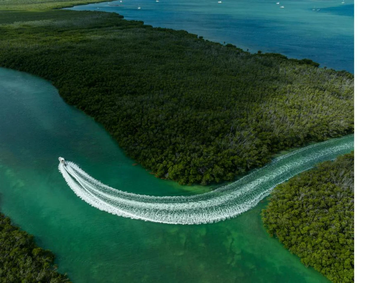 2027 Boston Whaler 280 Dauntless 28.0 feet, Naples, Florida #114