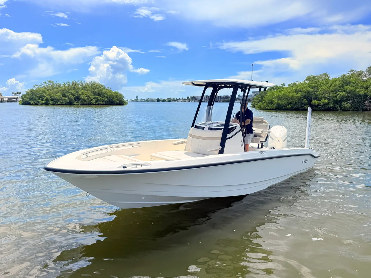 2027 Boston Whaler 220 Dauntless 22.0 feet, St Petersburg, FL #8