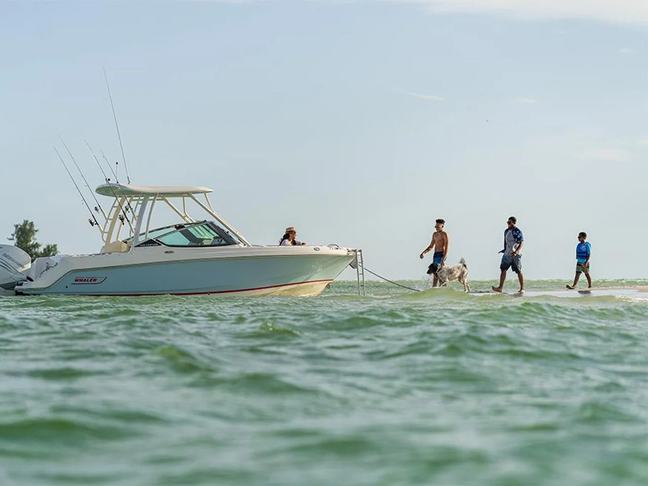 2027 Boston Whaler 240 Vantage 24.0 feet, Cocoa, Florida #16