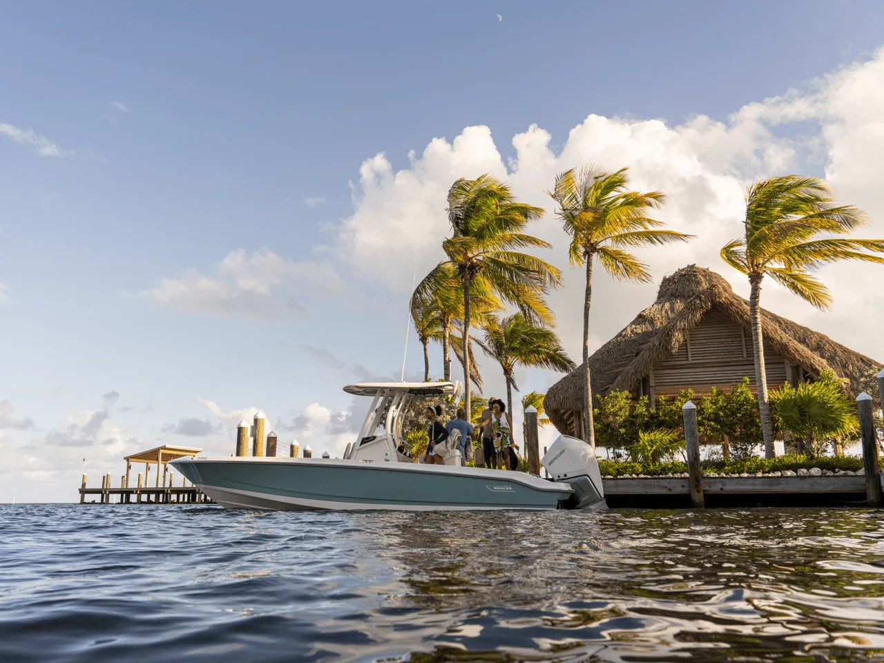 2026 Boston Whaler 250 Dauntless 25.0 feet, Inuvik, Northwest Territories #25