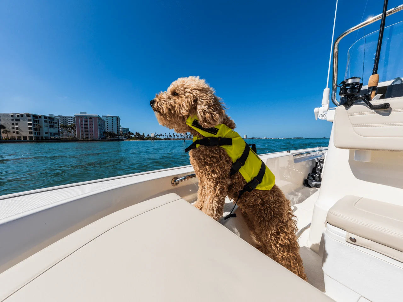 2027 Boston Whaler 150 Montauk 15.0 feet, Wrightsville Beach, North Carolina #16