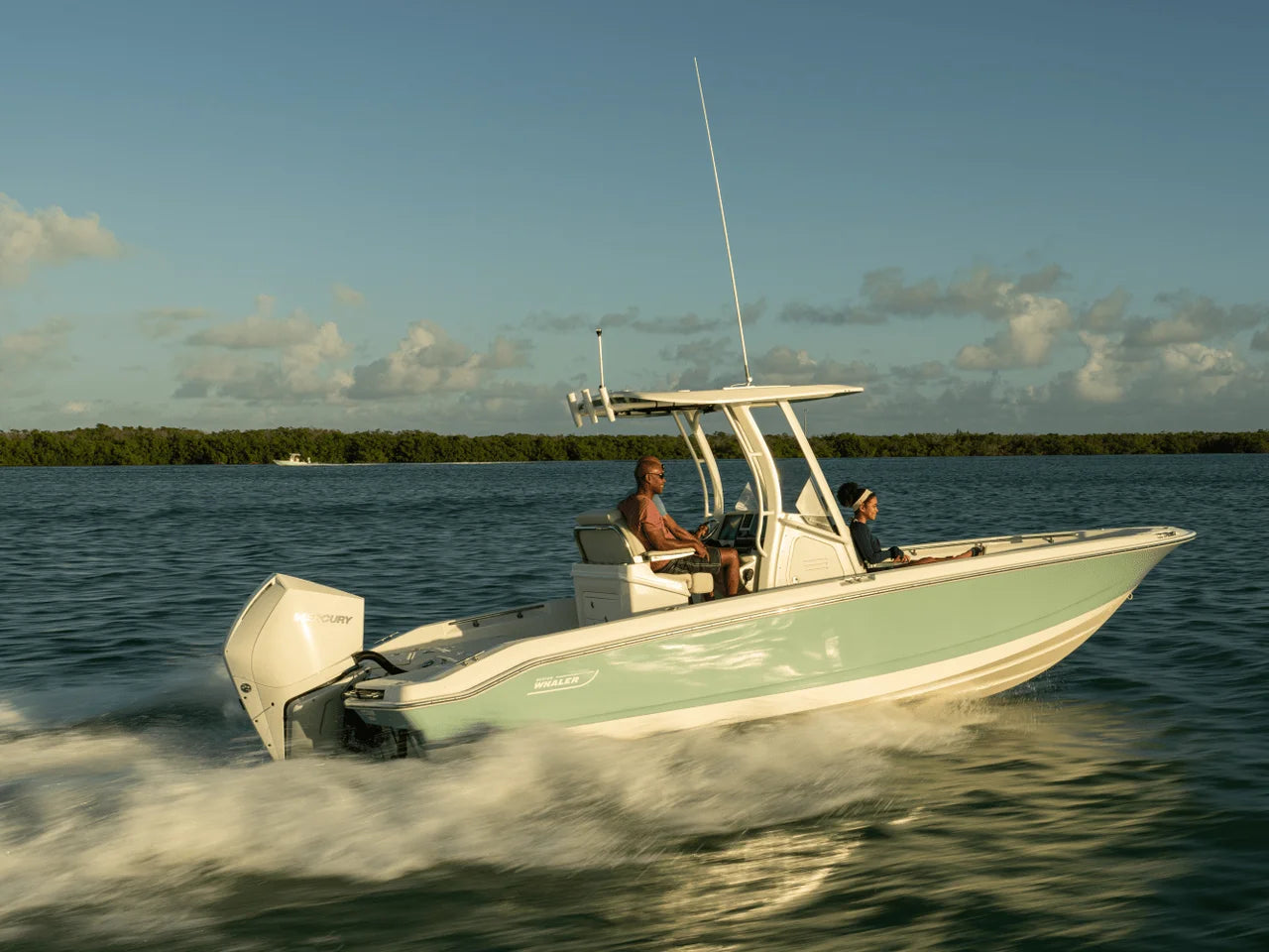 2027 Boston Whaler 250 Dauntless 25.0 feet, Naples, Florida #34