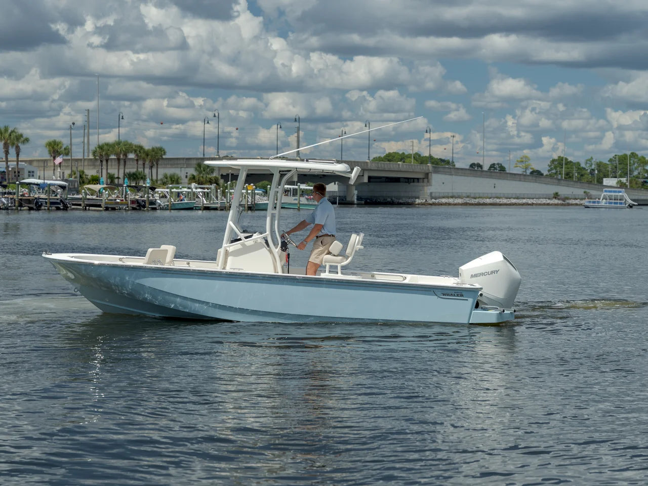 2027 Boston Whaler 210 Montauk 21.0 feet, Panama City, FL #1
