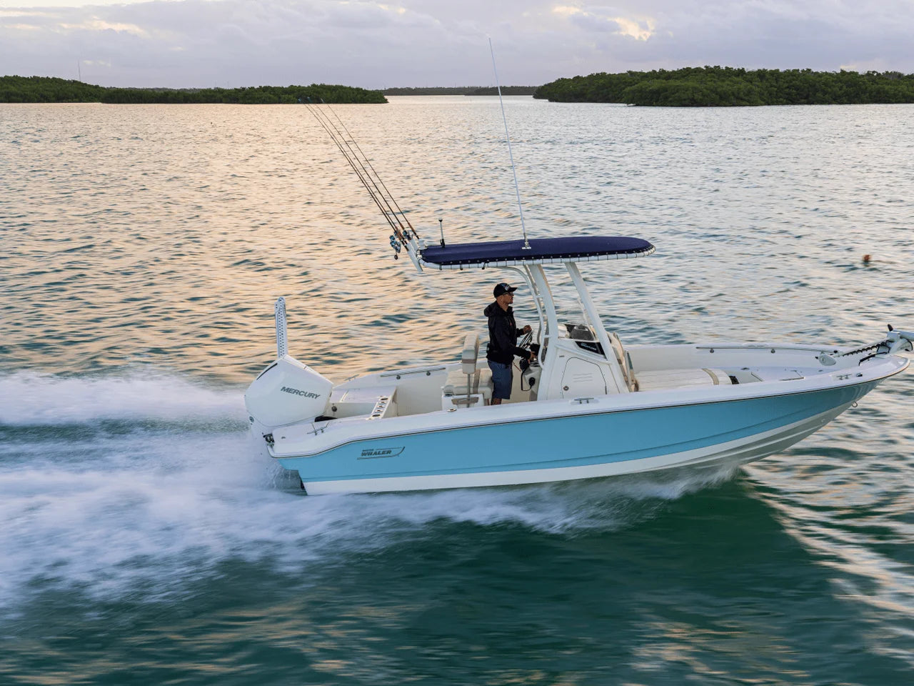 2026 Boston Whaler 220 Dauntless 22.0 feet, Inuvik, Northwest Territories #26