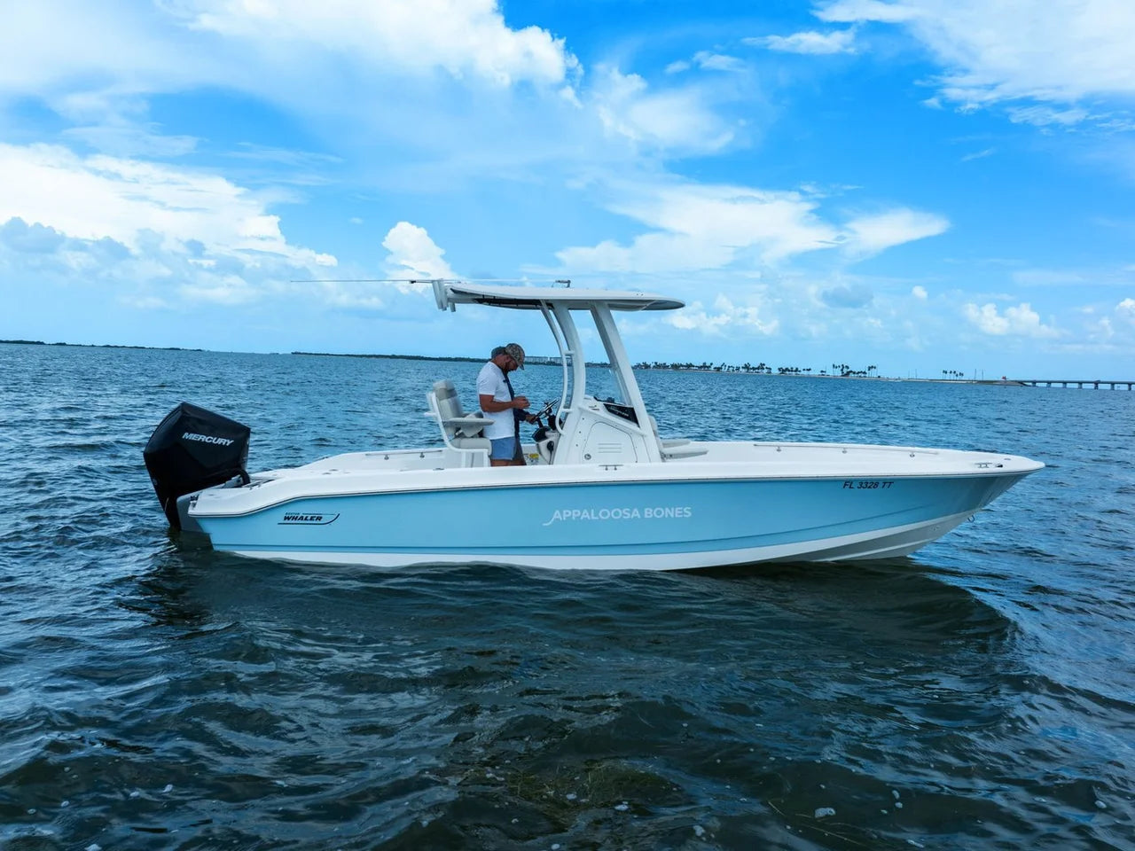 2024 Boston Whaler 250 DAUNTLESS 25.0 feet, St Petersburg, FL #37