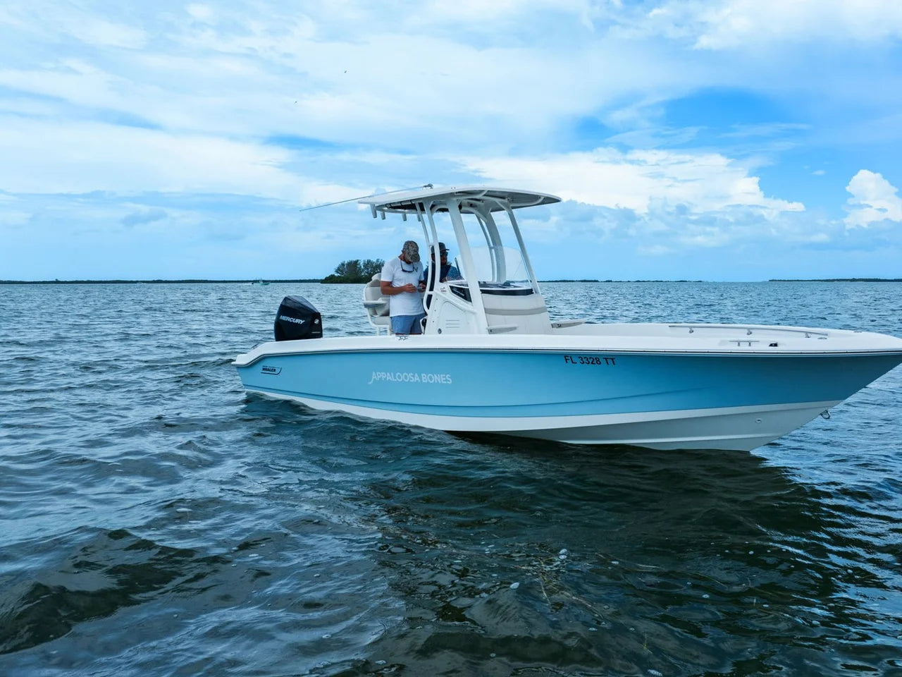 2024 Boston Whaler 250 DAUNTLESS 25.0 feet, St Petersburg, FL #36