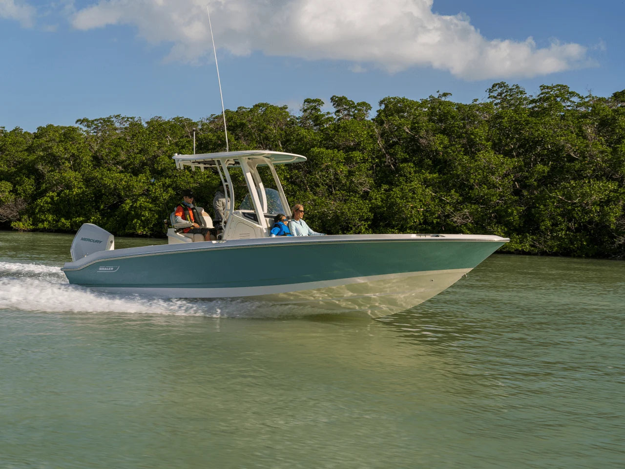2027 Boston Whaler 250 Dauntless 25.0 feet, Seabrook, TX #10