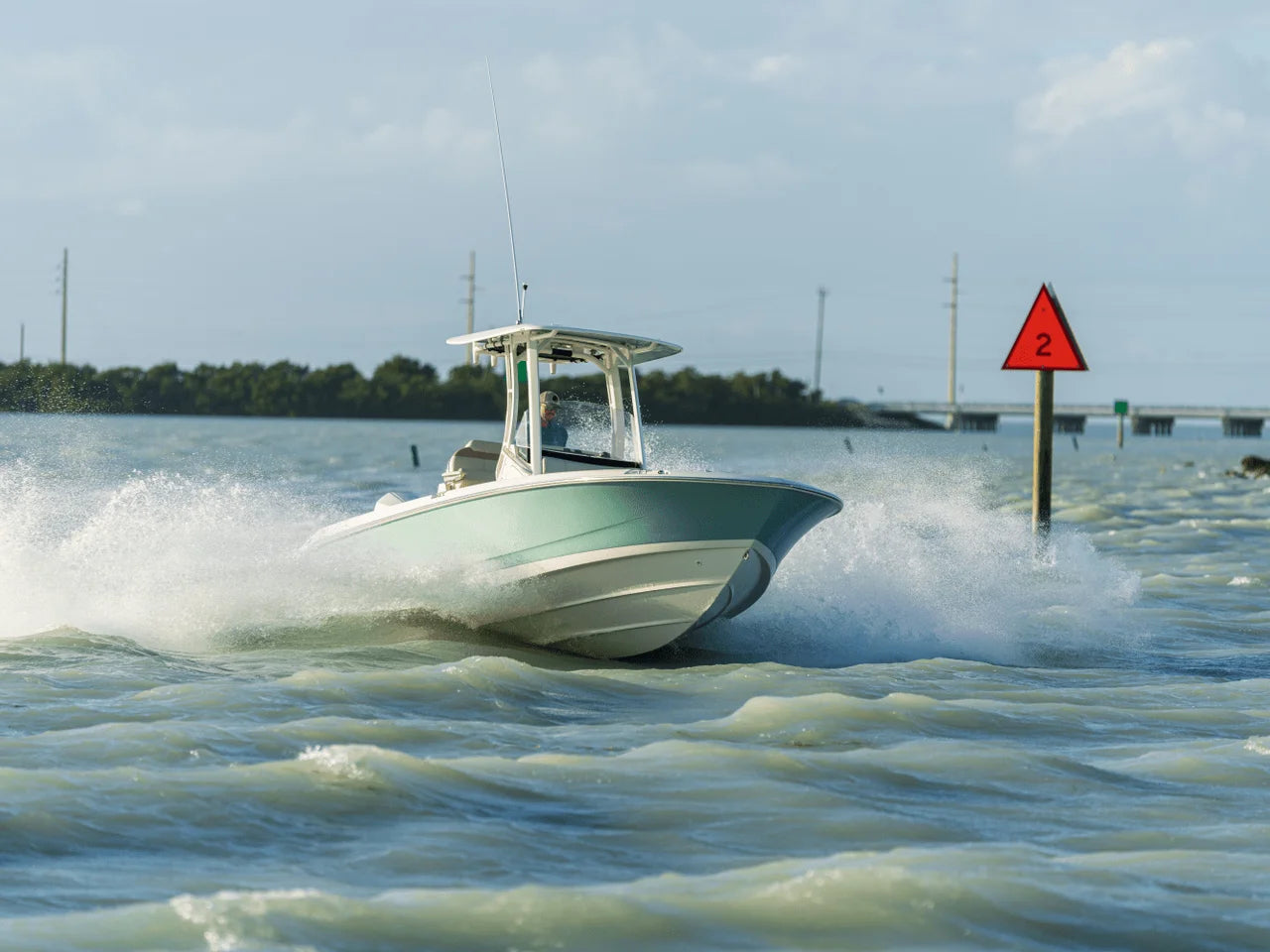 2027 Boston Whaler 250 Dauntless 25.0 feet, Seabrook, TX #24