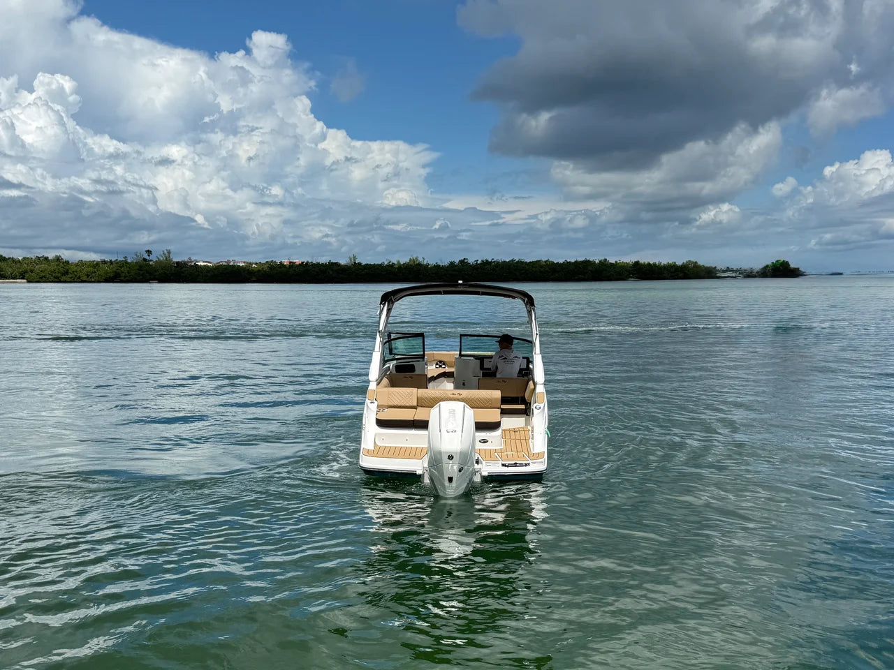 2026 Sea Ray SDX 230 Outboard 23.0 feet, Sarasota, FL #6