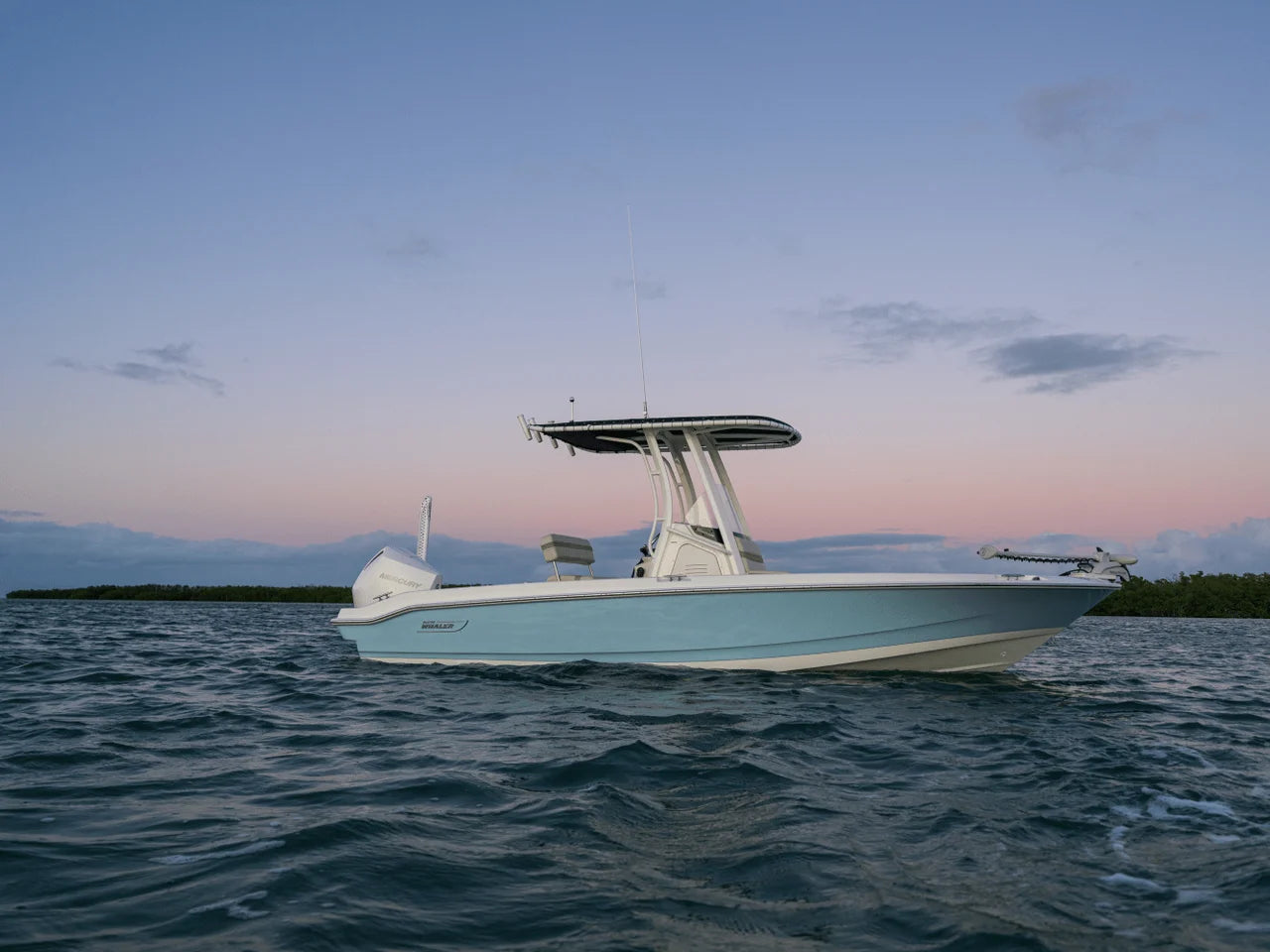 2026 Boston Whaler 220 Dauntless 22.0 feet, Inuvik, Northwest Territories #22