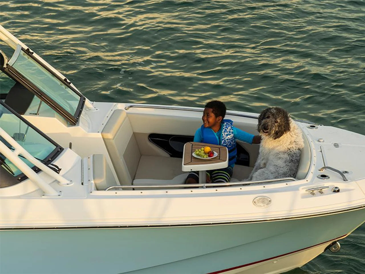 2026 Boston Whaler 240 Vantage 24.0 feet, Inuvik, Northwest Territories #37