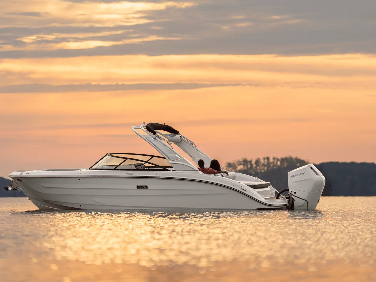 2025 Sea Ray SDX 270 Outboard 27.0 feet, Brick Township, NJ #39