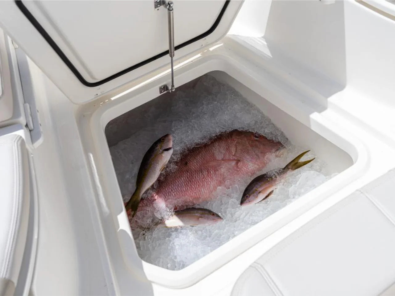 2027 Boston Whaler 280 Dauntless 28.0 feet, Venice, Florida #71