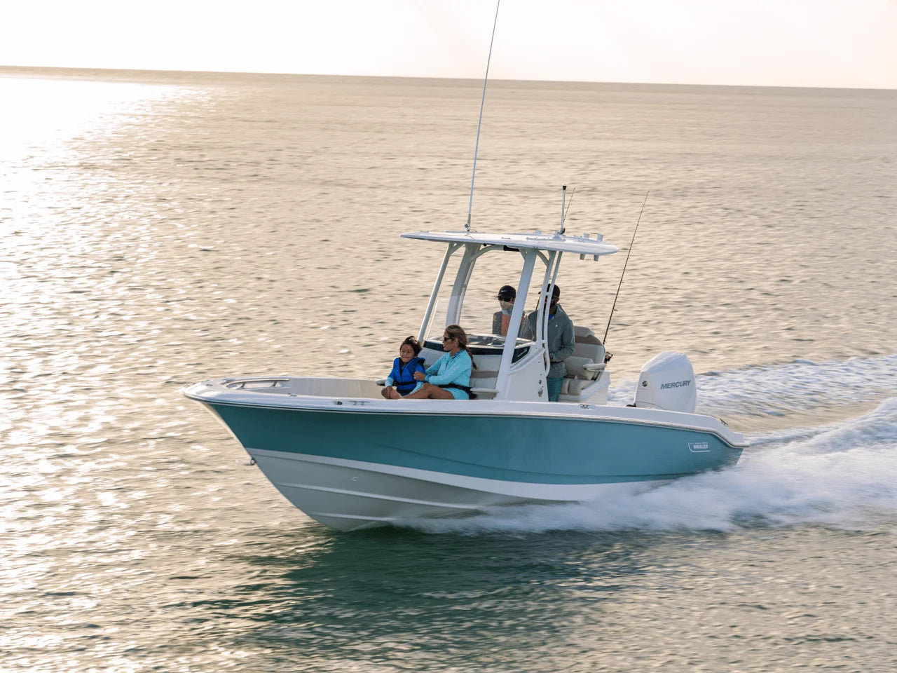 2027 Boston Whaler 250 Dauntless 25.0 feet, Seabrook, TX #12