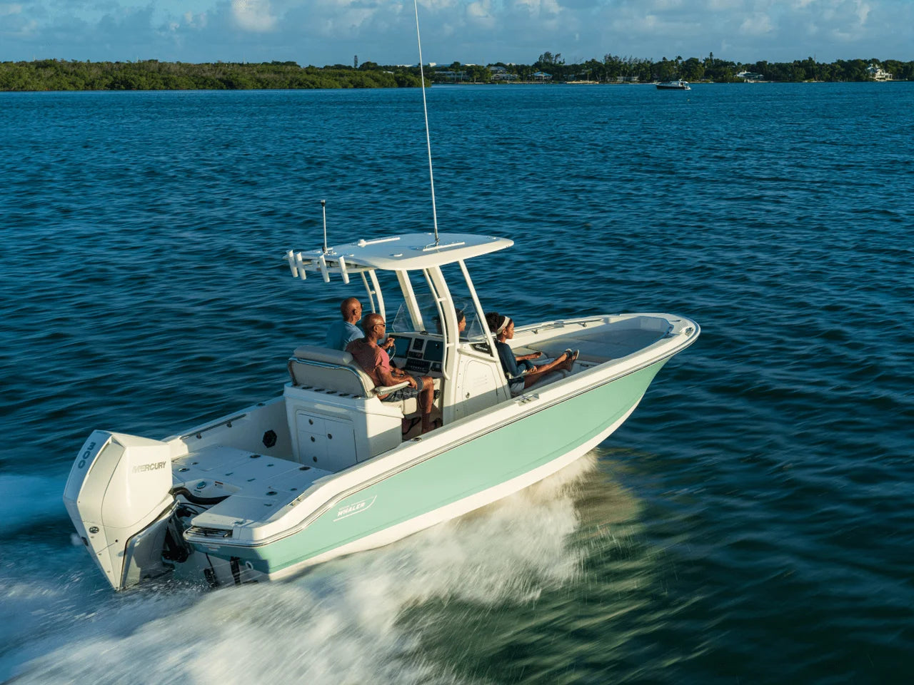 2027 Boston Whaler 250 Dauntless 25.0 feet, Seabrook, TX #26