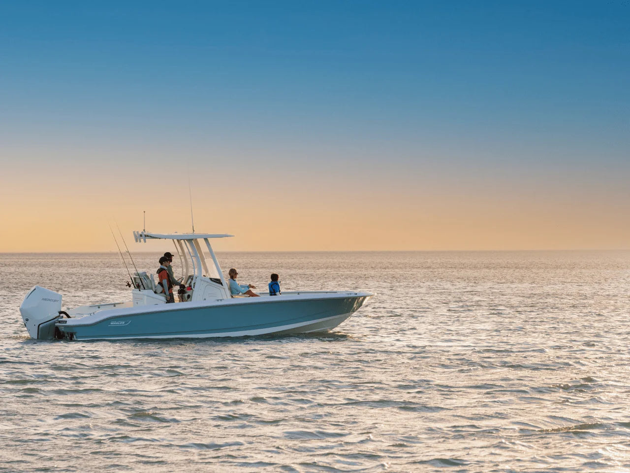2027 Boston Whaler 250 Dauntless 25.0 feet, Panama City, FL #9