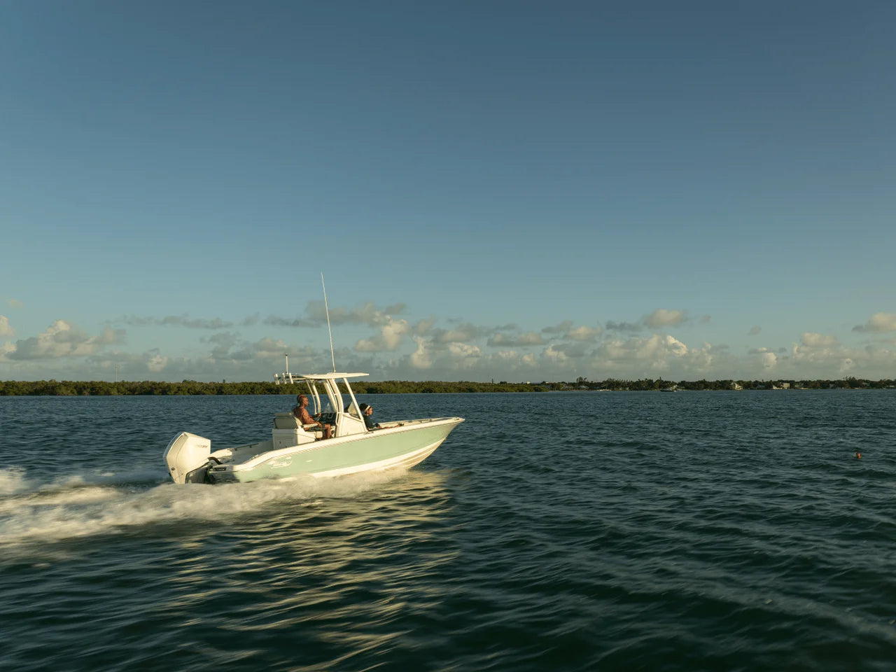 2027 Boston Whaler 250 Dauntless 25.0 feet, Panama City, FL #35