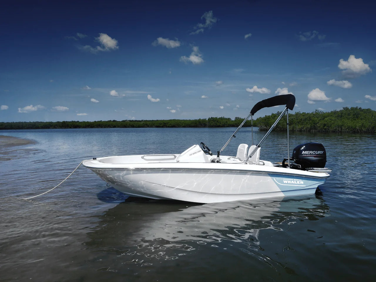 2027 Boston Whaler 130 Super Sport 13.0 feet, Lake Wylie, SC #5