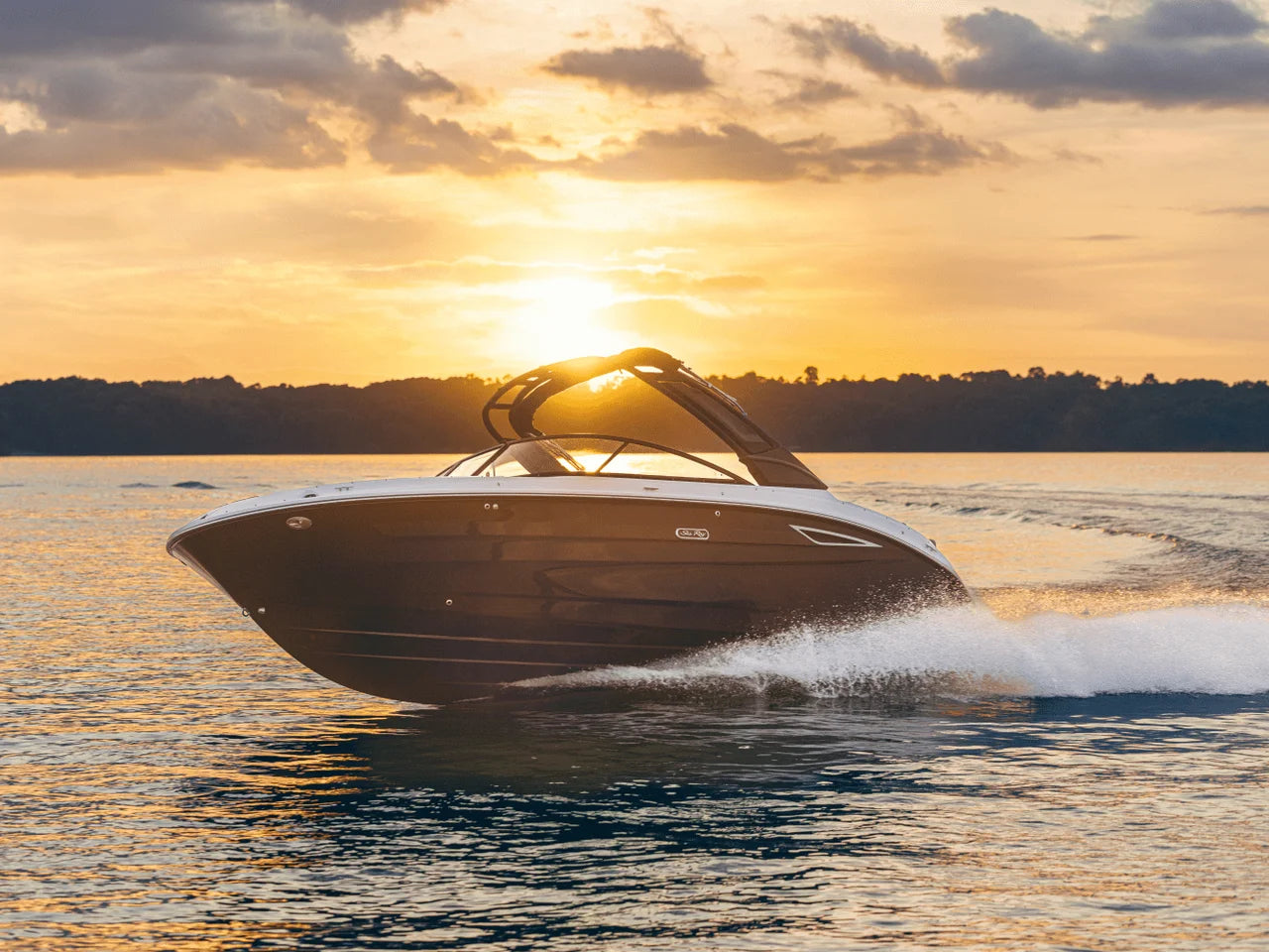 2026 Sea Ray SDX 250 25.0 feet, Rogers, MN #67